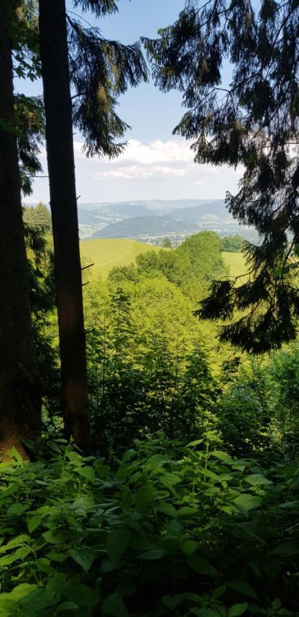 Gasthaus Sternen Post โอเบอร์รีด ภายนอก รูปภาพ